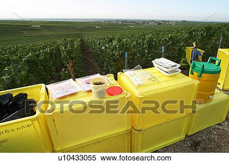 Stock Photography - outdoor, nature, natural, field, ground, landscape. Fotosearch