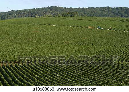 Stock Image - outdoors, natural, environment, beauty, climate, condition. Fotosearch