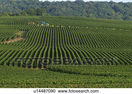 Stock Image - outdoors, natural, environment, beauty, climate, condition. Fotosearch