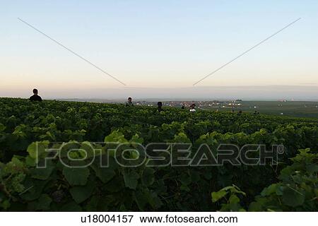 Stock Photo - outdoors, natural, environment, beauty, climate, condition. Fotosearch