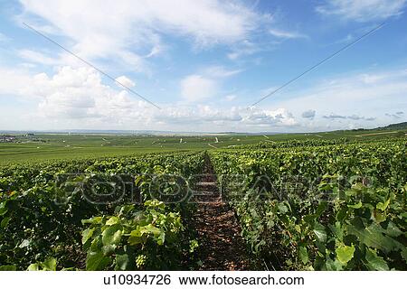 Stock Photograph - outdoors, natural, environment, beauty, climate, condition. Fotosearch