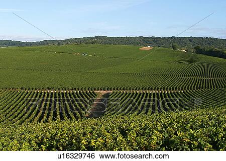 Stock Photograph - outdoors, natural, environment, beauty, climate, condition. Fotosearch