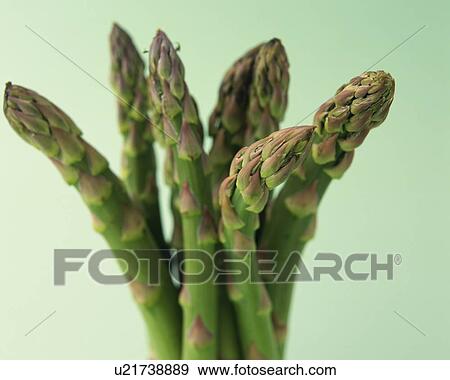Stock Photo - Asparagus, Close Up. Fotosearch