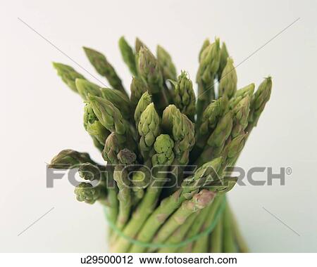 Asparagus Tied with a Rubber Band, High Angle View, Close Up View Large Photo Image Stock Image - Asparagus Tied with a Rubber Band, High Angle View, Close Up. Fotosearch