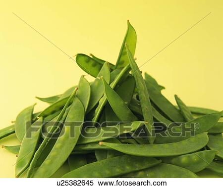 Batch of Pea, Front View View Large Photo Image Stock Photography - Batch of Pea, Front View. Fotosearch