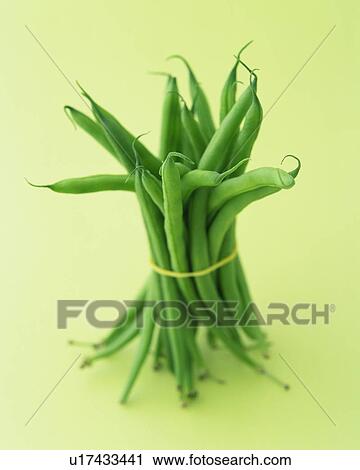 Stock Image - Common Beans Tied with a Rubber Band, High Angle View. Fotosearch