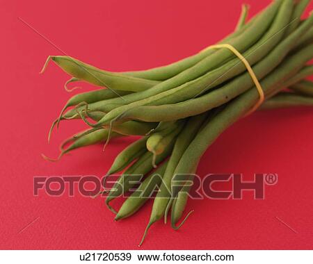 Common Beans Tied with a Rubber Band, Close Up View Large Photo Image Stock Photo - Common Beans Tied with a Rubber Band, Close Up. Fotosearch