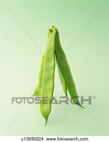 Picture - Four Pea, Front View. Fotosearch