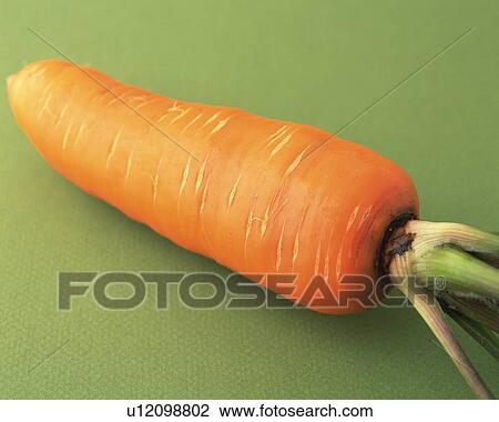 One Carrot, High Angle View, Close Up View Large Photo Image Stock Image - One Carrot, High Angle View, Close Up. Fotosearch
