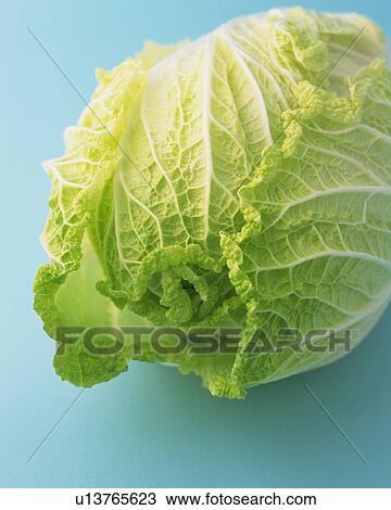 Stock Image - One Chinese Cabbage, Close Up. Fotosearch