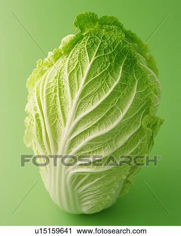 Stock Image - One Chinese Cabbage, High Angle View. Fotosearch