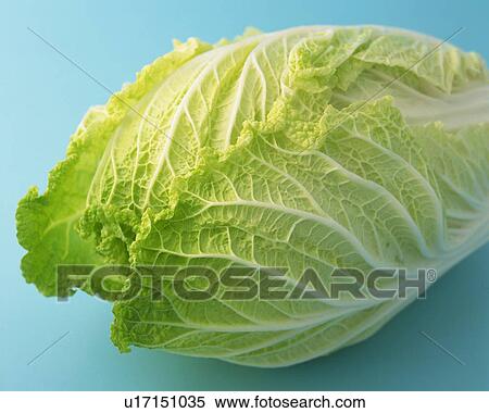 Stock Photography - One Chinese Cabbage, High Angle View, Close Up. Fotosearch