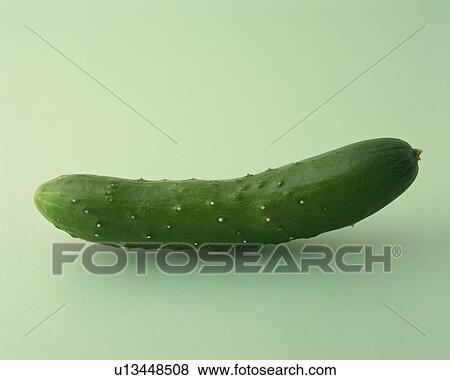 One Cucumber, Front View, Copy Space View Large Photo Image Stock Photo - One Cucumber, Front View, Copy Space. Fotosearch