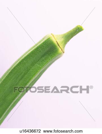Stock Image - One Gumbo, Close Up. Fotosearch