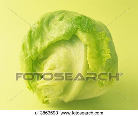 One Lettuce, High Angle View View Large Photo Image Stock Image - One Lettuce, High Angle View. Fotosearch