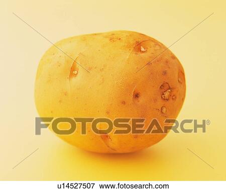 Stock Photo - One Potato, Close Up. Fotosearch