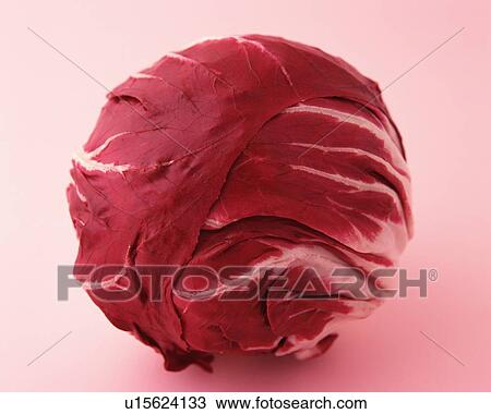 One Red Cabbage, High Angle View View Large Photo Image Stock Image - One Red Cabbage, High Angle View. Fotosearch
