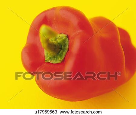 One Red Paprika, Close Up View Large Photo Image Stock Image - One Red Paprika, Close Up. Fotosearch