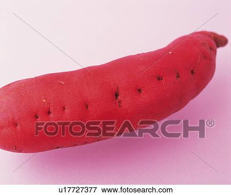 Stock Photo - One Sweet Potato, Close Up. Fotosearch