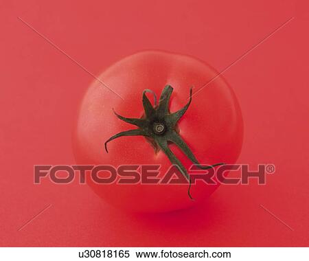 Stock Photography - One Tomato, High Angle View. Fotosearch