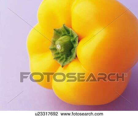 One Yellow Paprika, Close Up View Large Photo Image Stock Image - One Yellow Paprika, Close Up. Fotosearch