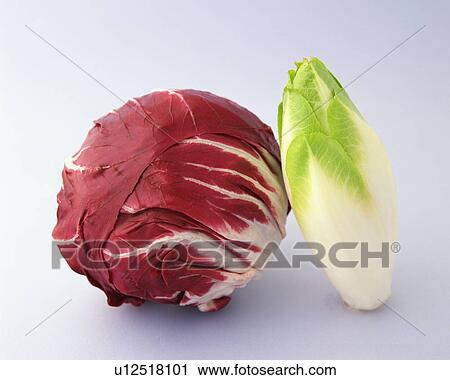Red Cabbage and Chicory, Front View View Large Photo Image Stock Image - Red Cabbage and Chicory, Front View. Fotosearch