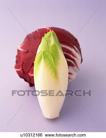 Stock Photograph - Red Cabbage and Chicory, High Angle View. Fotosearch