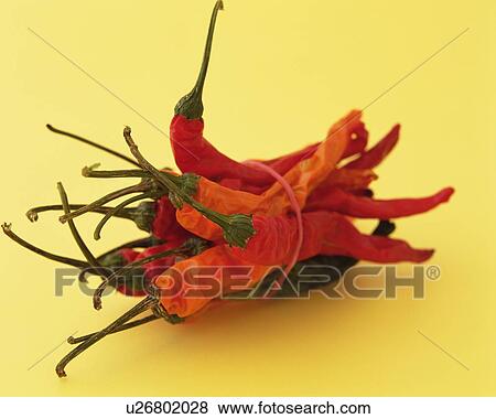 Red Hot Peppers Tied with a Rubber Band, Close Up View Large Photo Image Stock Photo - Red Hot Peppers Tied with a Rubber Band, Close Up. Fotosearch