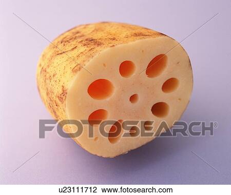 Stock Image - Section of Lotus Root, Side View, Close Up. Fotosearch