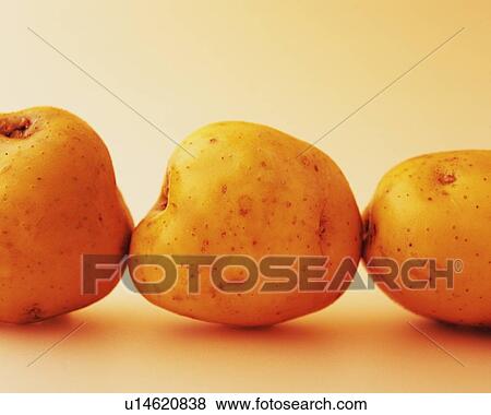 Three Potatoes, Front View View Large Photo Image Stock Photo - Three Potatoes, Front View. Fotosearch