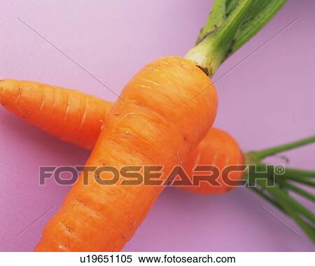Two Carrots, High Angle View, Close Up View Large Photo Image Stock Photography - Two Carrots, High Angle View, Close Up. Fotosearch