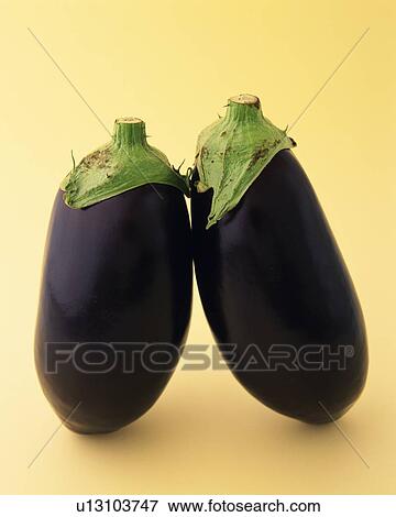 Two Eggplants, Front View View Large Photo Image Stock Photo - Two Eggplants, Front View. Fotosearch