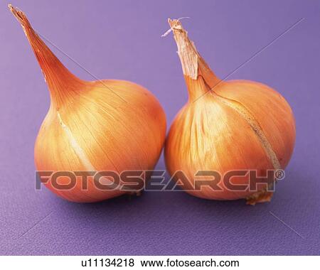 Stock Photo - Two Onions, High Angle View. Fotosearch