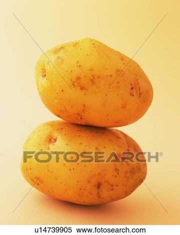 Two Potatoes, Close Up View Large Photo Image Stock Photography - Two Potatoes, Close Up. Fotosearch