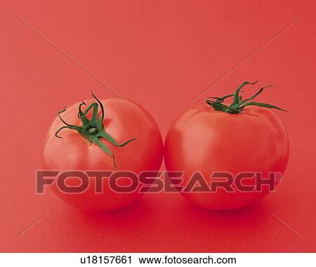 Stock Image - Two Tomato, Front View. Fotosearch