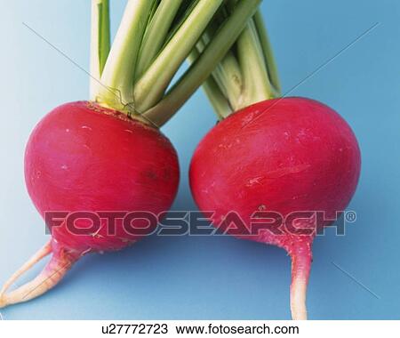 Stock Image - Two Turnips, Close Up. Fotosearch