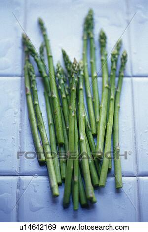 Stock Photo - Asparagus on tile, Differential Focus . Fotosearch