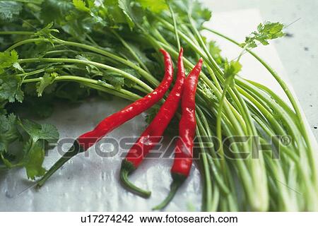 Bunch of leaf vegetables and red chili pepper, Differential Focus View Large Photo Image Stock Image - Bunch of leaf vegetables and red chili pepper, Differential Focus. Fotosearch