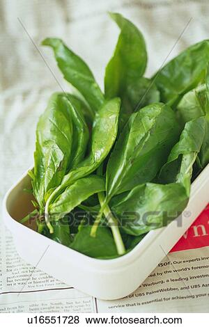 Leaf vegetables on plastic case, Differential Focus, close up View Large Photo Image Stock Photo - Leaf vegetables on plastic case, Differential Focus, close up. Fotosearch