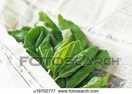 Stock Photo - Leaf vegetables rolled English newspaper, Differential Focus. Fotosearch