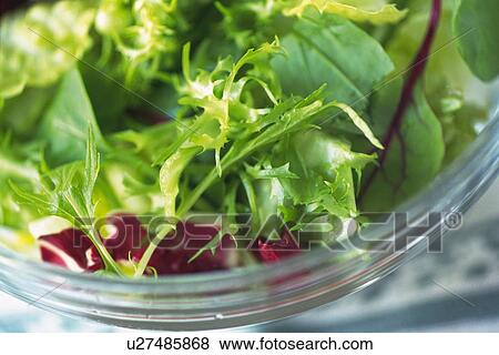 Mixed salad leaves in bowl, Differential Focus, Close Up View Large Photo Image Stock Photo - Mixed salad leaves in bowl, Differential Focus, Close Up. Fotosearch