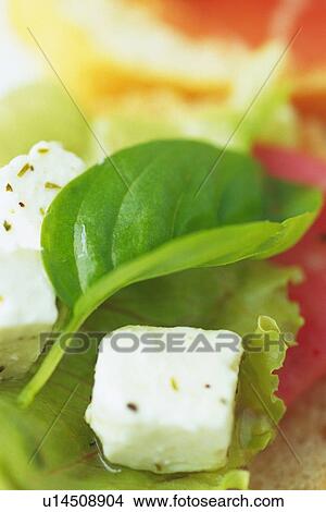 Picture - Mixed salad leaves with cheeses, close up, Differential Focus. Fotosearch