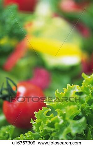 Stock Photo - Mixed salad leaves with cherry tomato, close up, Differential Focus. Fotosearch