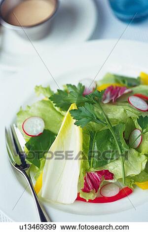 Mixed salad leaves with fork on plate, salad dressing visible in background, Differential Focus View Large Photo Image Stock Photo - Mixed salad leaves with fork on plate, salad dressing visible in background, Differential Focus. Fotosearch