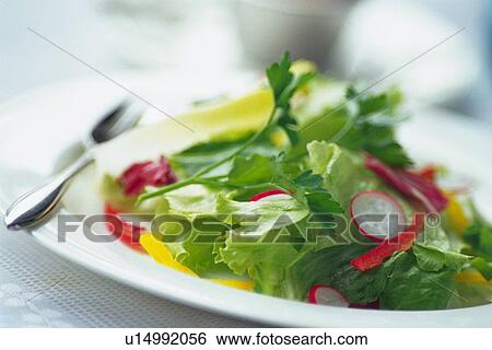 Mixed salad leaves with fork on plate, cup visible in background, Differential Focus View Large Photo Image Stock Photograph - Mixed salad leaves with fork on plate, cup visible in background, Differential Focus. Fotosearch