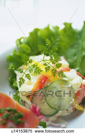 Stock Photography - Potato salad with leaf on plate, Differential Focus. Fotosearch