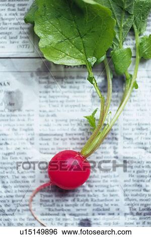 Stock Photograph - Radish on English Newspaper, Differential Focus. Fotosearch
