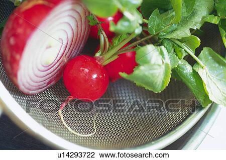 Stock Image - Radishes and half red onion in bowl, Differential Focus . Fotosearch