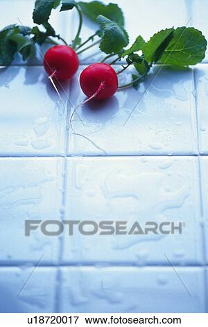 Stock Photo - Radishes on tile, Differential Focus . Fotosearch