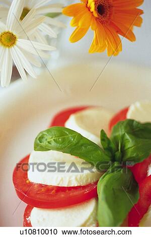 Salad of tomato slices with mozzarella, two flowers visible in background, close-up, Differential Focus View Large Photo Image Stock Image - Salad of tomato slices with mozzarella, two flowers visible in background, close-up, Differential Focus. Fotosearch